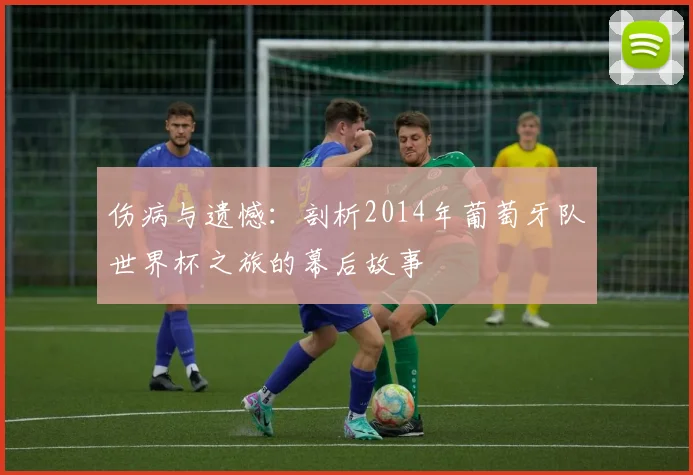 伤病与遗憾：剖析2014年葡萄牙队世界杯之旅的幕后故事