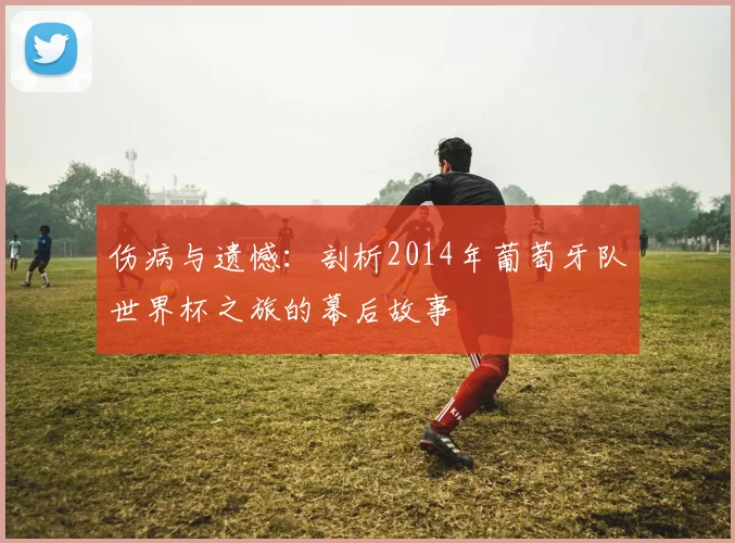 伤病与遗憾:剖析2014年葡萄牙队世界杯之旅的幕后故事