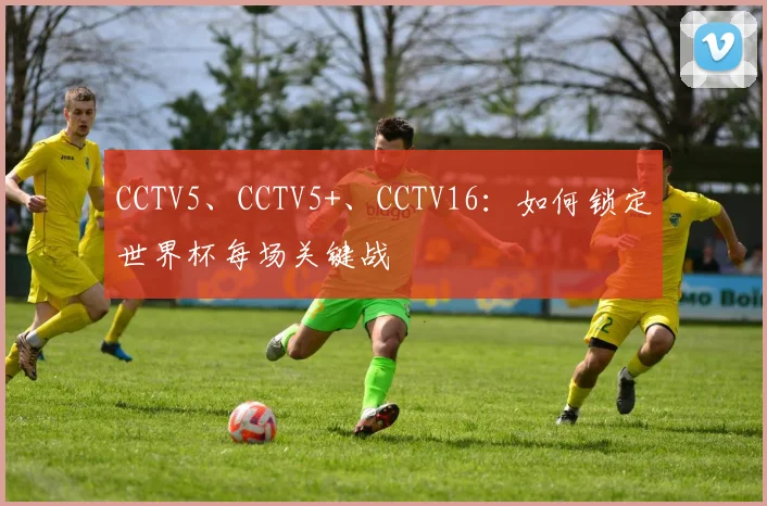 CCTV5、CCTV5+、CCTV16：如何锁定世界杯每场关键战