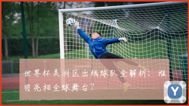 世界杯美洲区出线球队全解析：谁将亮相全球舞台？