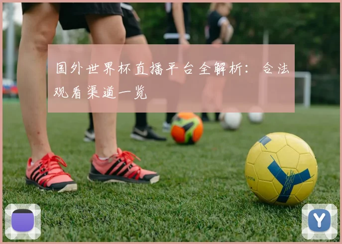 国外世界杯直播平台全解析：合法观看渠道一览
